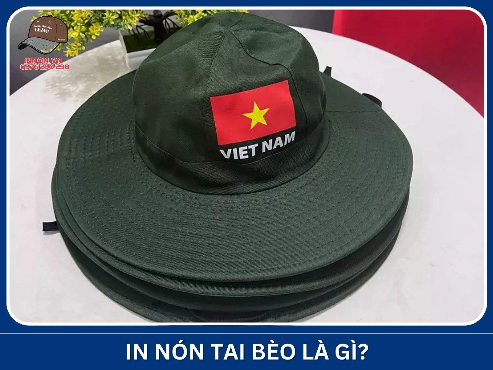 In nón tai bèo là gì?